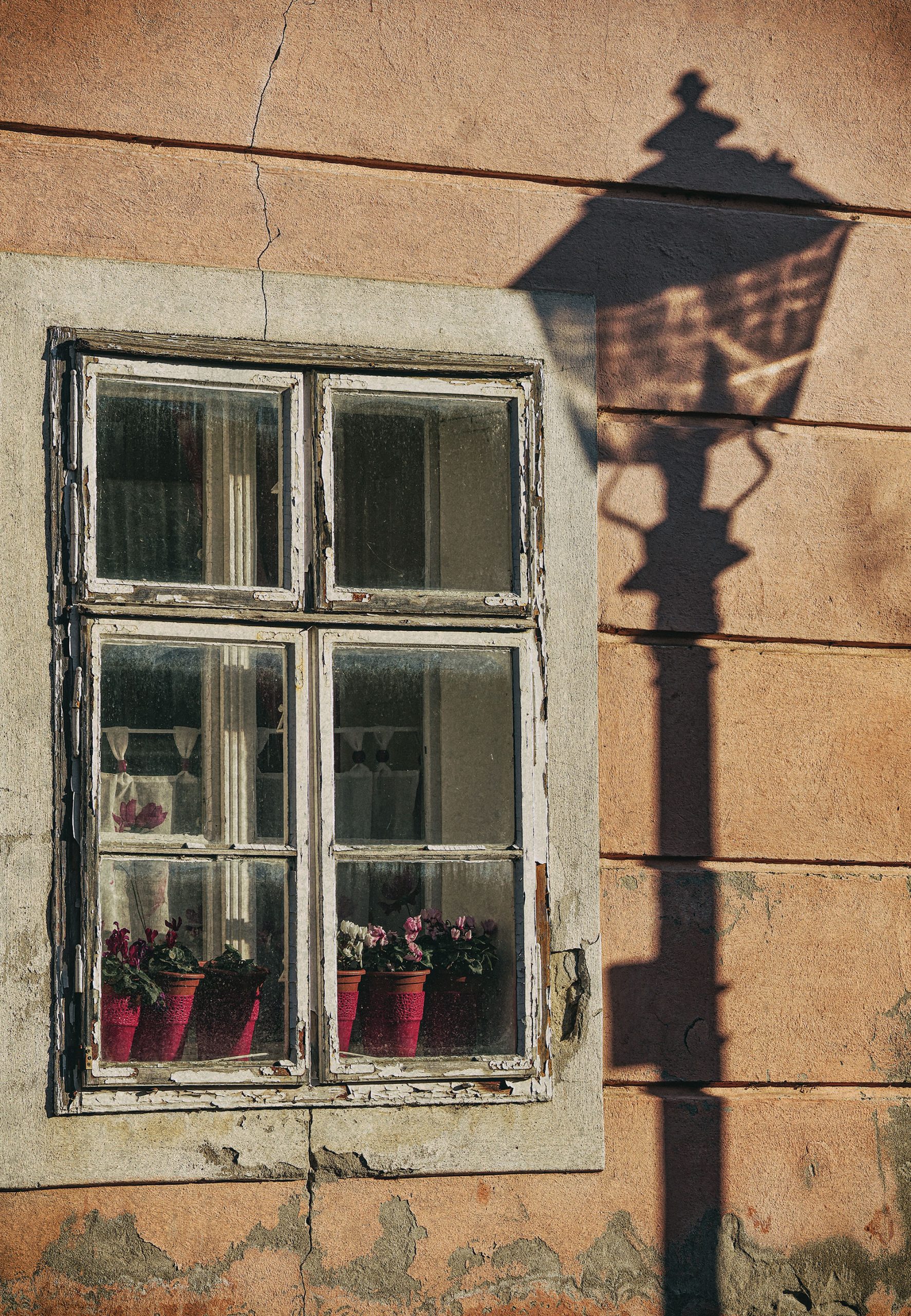 Árnyjáték